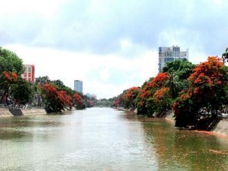 Река Бах Данг в Хайфоне.