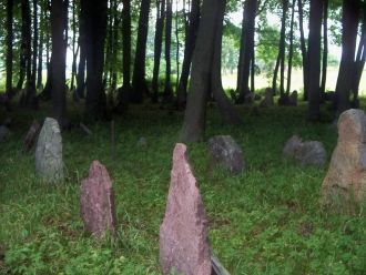 Старое Татарское кладбище в Вилкавишкисе