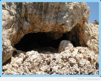 В пещерах Альтамиры обнаружены не единич